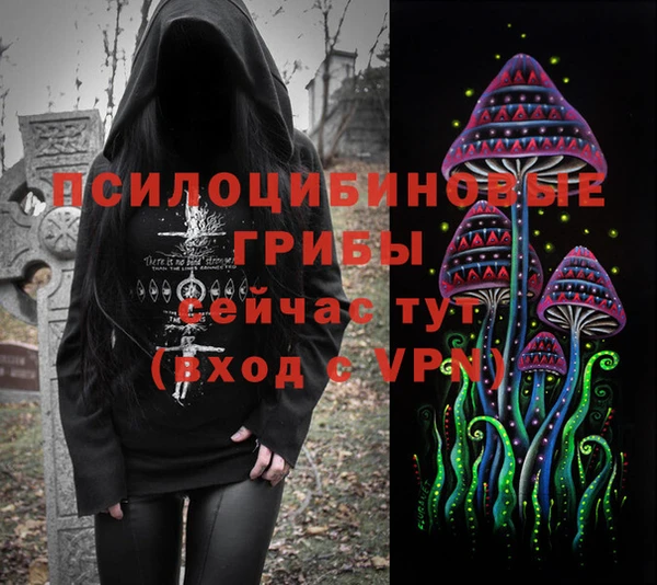 амф Дмитровск