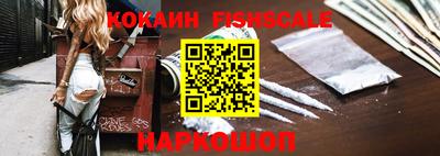 индика Сланцы