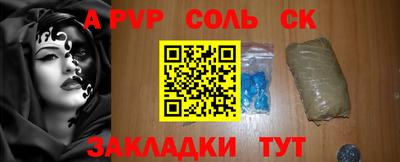 индика Сланцы