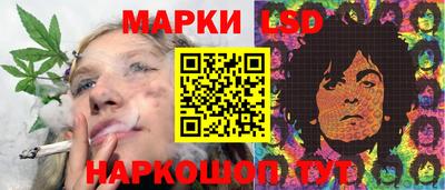 индика Сланцы