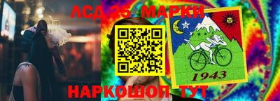 индика Сланцы