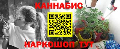 индика Сланцы