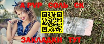 индика Сланцы