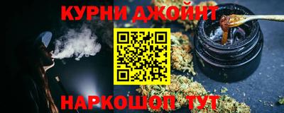индика Сланцы