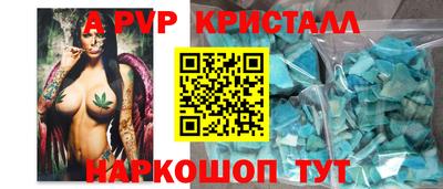 индика Сланцы