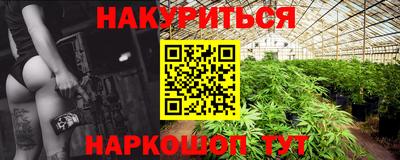 индика Сланцы