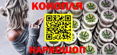 индика Сланцы