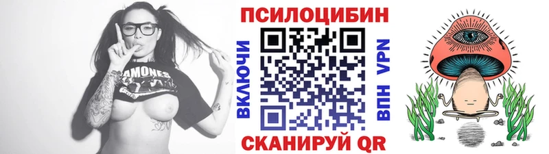 где купить наркоту  Заринск  Галлюциногенные грибы мухоморы 