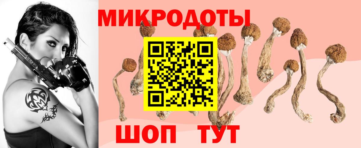 Псилоцибиновые грибы Cubensis Заринск